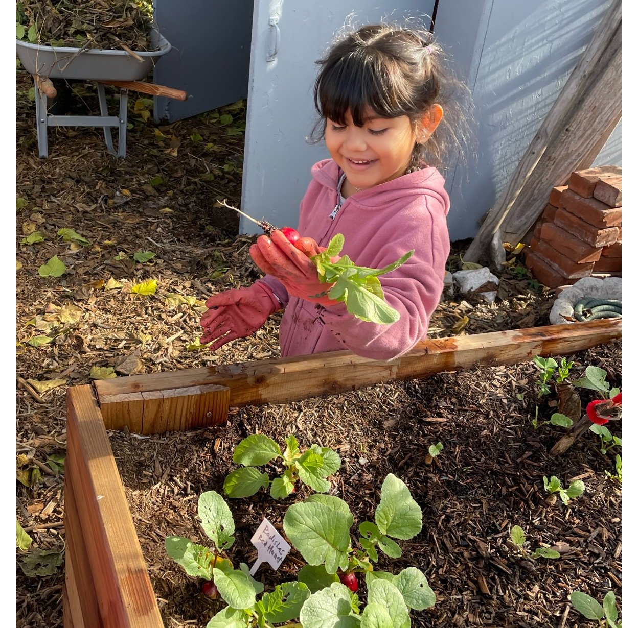 Herbalife and LA Galaxy's Partnership with Garden Foundation School